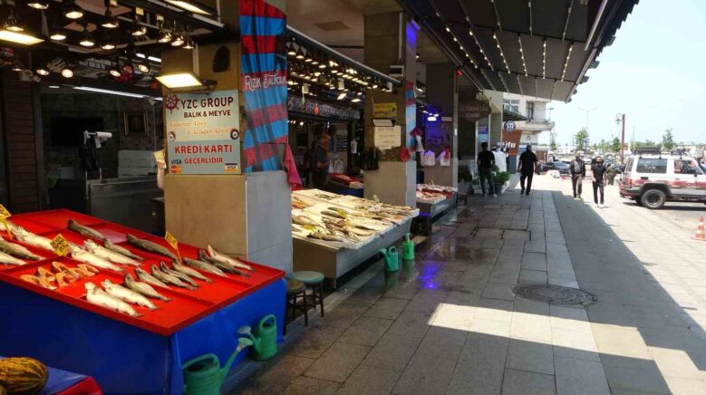 balik hali sessizlige burundu znqagdEB