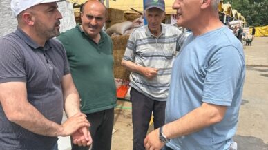 baskan altikulac istanbula sevk edilen kurbanliklarin tamamina yakini satildi yB2yqKBa