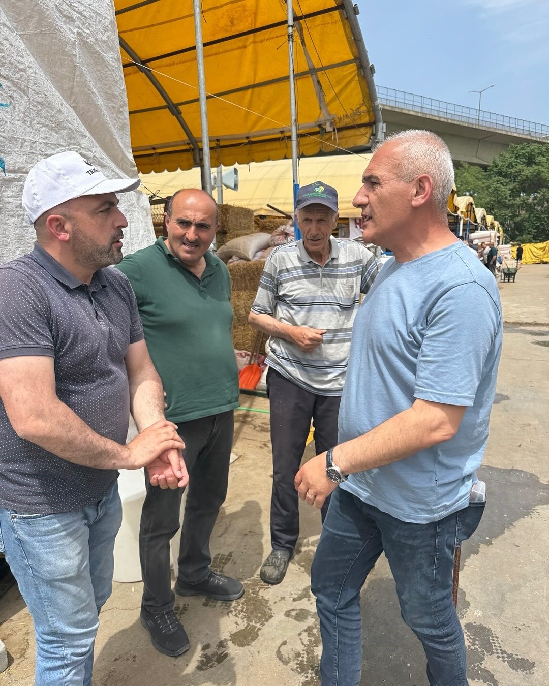 baskan altikulac istanbula sevk edilen kurbanliklarin tamamina yakini satildi yB2yqKBa