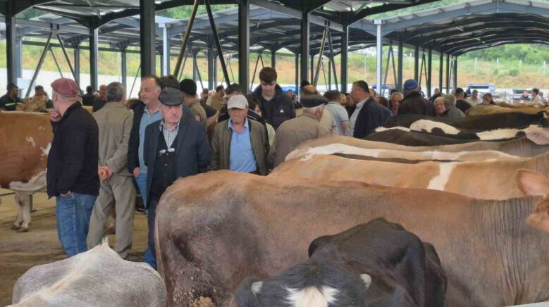 bayrama sayili gunler kala kurban pazarlari hareketlendi wzQvsV93