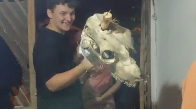 boluda 100 yillik bayram gelenegi deve kostumu ile kapi kapi dolasip para topluyorlar jRDfCVP1