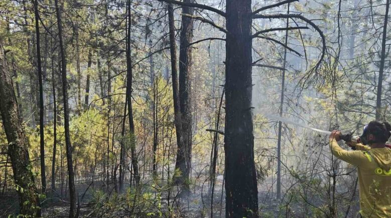 boluda ormanlik alanda ortu yangini faciaya donusmeden sonduruldu CUnwmySO