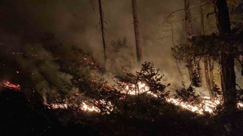 boludaki orman yangini 8 saatte kontrol altina alindi k1LkhvGf