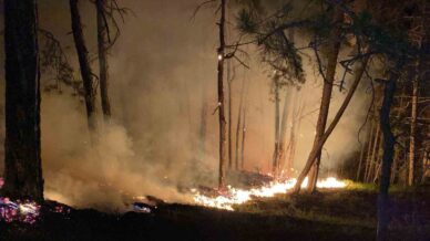 boludaki orman yangini buyuyor karadan mudahale suruyor drflTA4V