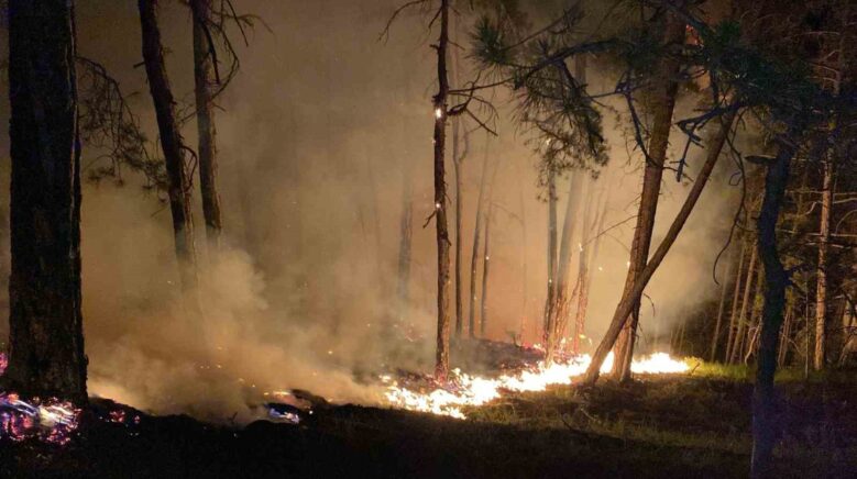 boludaki orman yangini buyuyor karadan mudahale suruyor drflTA4V