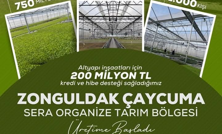 caycumada sera organize tarim bolgesi uretime basladi geem1gpJ