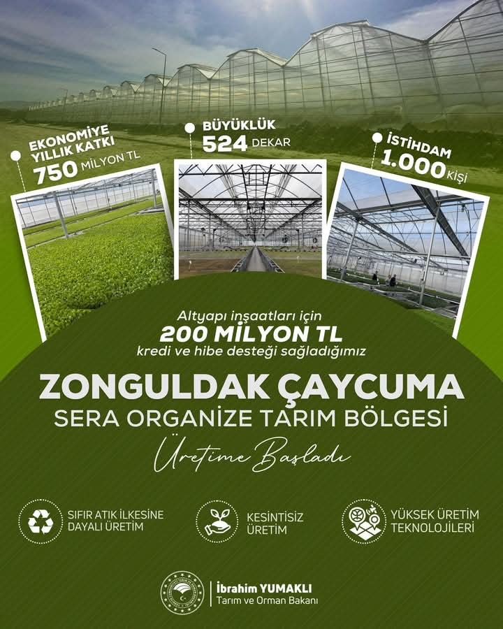 caycumada sera organize tarim bolgesi uretime basladi geem1gpJ