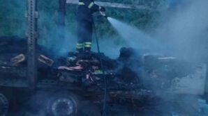 corumda tirin dorsesi alev alev yandi GngJQvAr