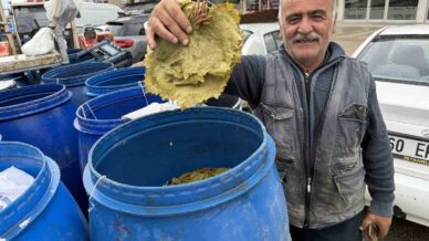 dona ragmen narince yapragi pazardaki yerini aldi 4OlJBt6O