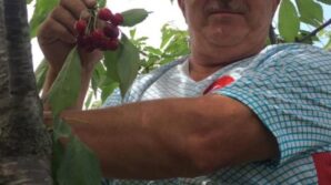 elektrik akimina kapildi hayatini kaybetti ppXsMaOl