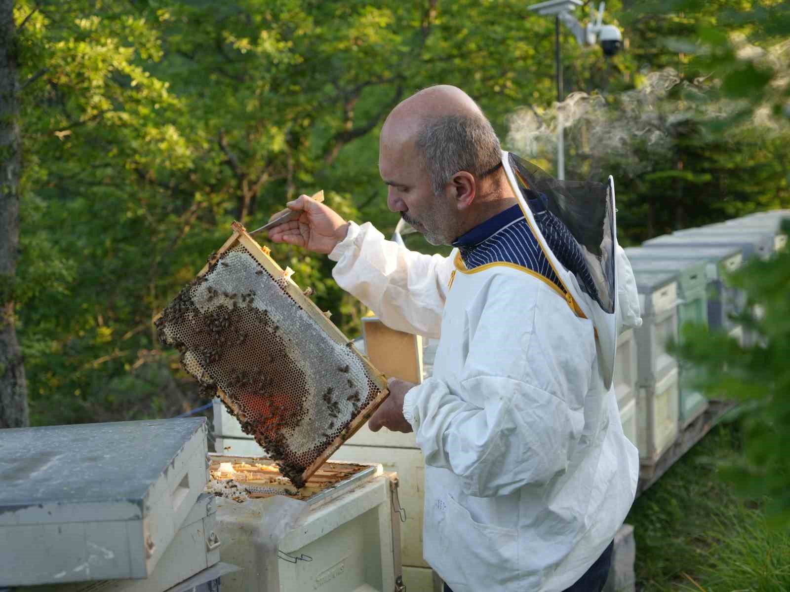 filmlere konu olan deli balda uretim sezonu suruyor 8B2IucQA