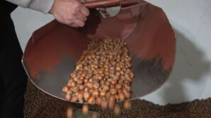 findikta stoklar eriyor yeni sezonun yolu aciliyor J73Ls5uA