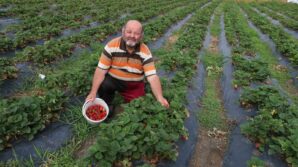 gezen tavuktan cilege dogal uretim seruveni suruyor djGtuBD1