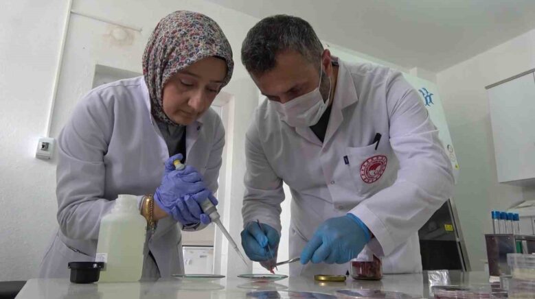 gida uzmanindan uyari kurban etini hemen buzdolabina koymayin cUGbdnb1