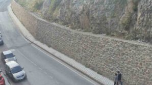 gumushane daglarinin susu yaban kecileri sehrin de susu oldu xjByqMus