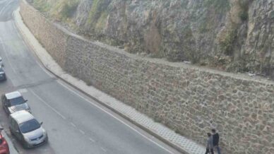 gumushane daglarinin susu yaban kecileri sehrin de susu oldu xjByqMus