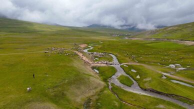 gumushane yaylalarinda gorsel solen O2rTgKlx