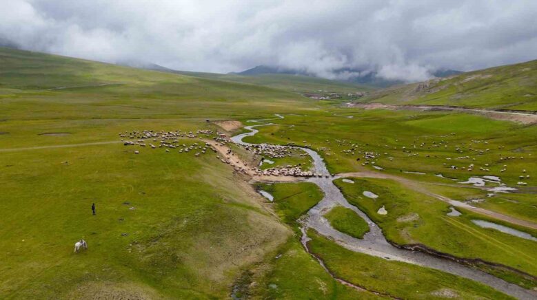 gumushane yaylalarinda gorsel solen O2rTgKlx