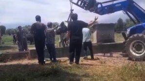 inek oluga sikisti koyluler seferber oldu twBVAFul