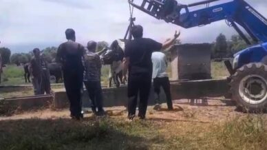 inek oluga sikisti koyluler seferber oldu twBVAFul