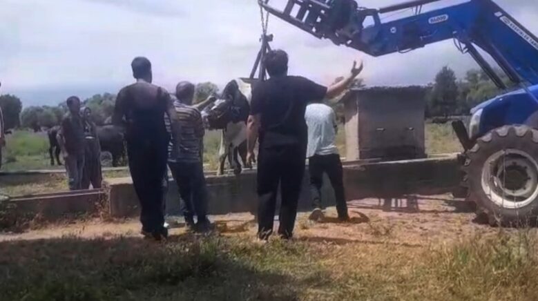 inek oluga sikisti koyluler seferber oldu twBVAFul