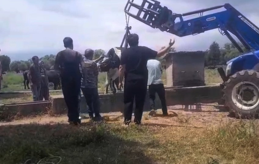 inek oluga sikisti koyluler seferber oldu twBVAFul