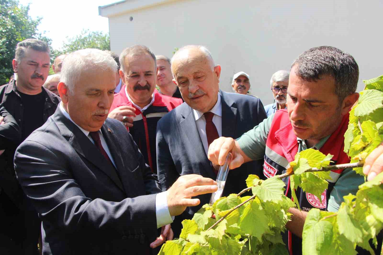 istilaci kokarcaya karsi samuray arisi umudu yK2KjhpD