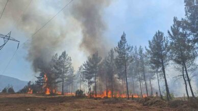 karabukte ormanlik alanda cikan ortu yangini kontrol altina alindi cclyaKqK