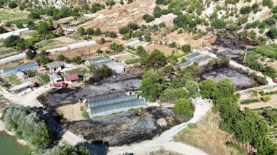 karabukte seralarin yogun bulundugu alandaki aniz yangini korkuttu Dq129MP8