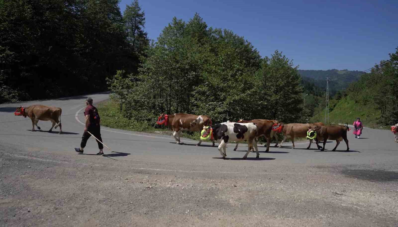 karadenizden renkli yayla gocleri YnIQgOGX