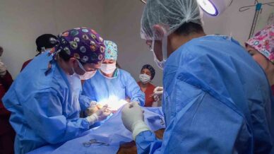 kastamonu universitesinde 5 ayda 334 hayvan tedavi edildi AEUBlQ1u