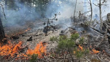 kastamonuda cikan orman yangini buyumeden sonduruldu XG64Z652