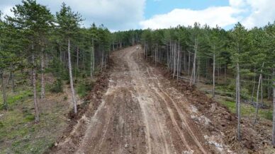 kastamonuda ormanlari yanginlardan korumak icin emniyet yolu calismalari suruyor Ke5QIAWV