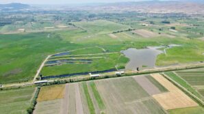 kaz golu yeni evlenen ciftler icin dogal studyo oldu JK4BSSju