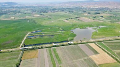 kaz golu yeni evlenen ciftler icin dogal studyo oldu JK4BSSju