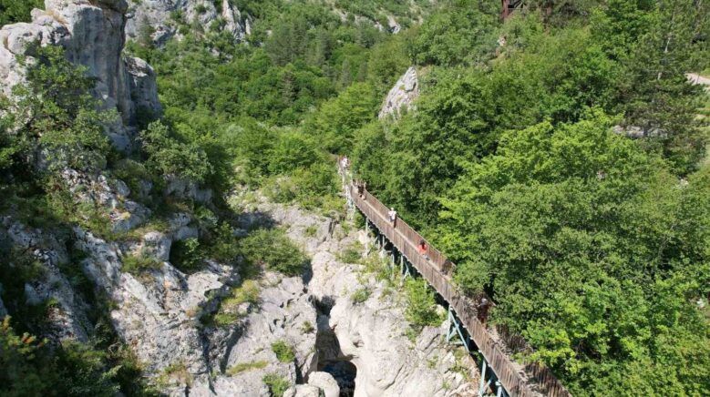 lubnan merkezli seyahat acentelerinden kastamonu cikarmasi r7ruXHiJ