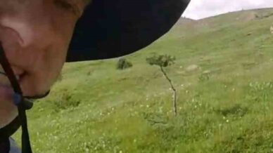 mantar toplamaya cikti tilkiyle dost oldu 5BrLZYHz