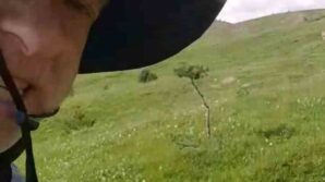 mantar toplamaya cikti tilkiyle dost oldu vrVSftHV