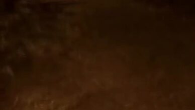 mezarlik yanina inen ayi kamerada W9xz9Mt6