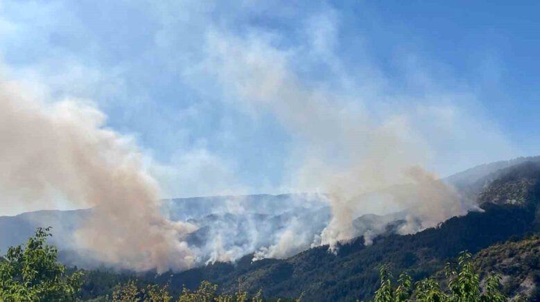 milletvekili sahin yanan 88 hektarlik orman alani agaclandiriliyor rRQ4vikd