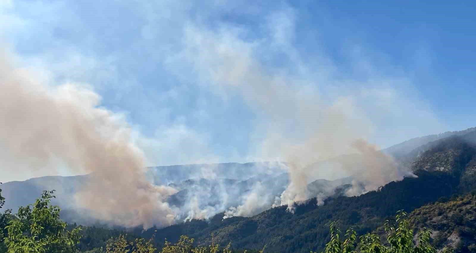 milletvekili sahin yanan 88 hektarlik orman alani agaclandiriliyor rRQ4vikd