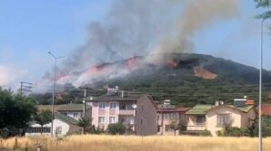 niksarda orman yangini ekiplerin mudahalesi suruyor ICp7iNU3