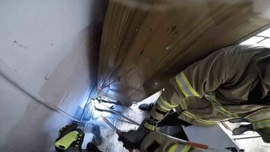 safranboluda ayakkabilikta zehirli engerek panigi shsyKVrh