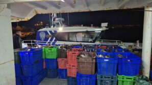 samsun aciklarinda 6 ton kacak kalkan baligi ele gecirildi jX46kH89