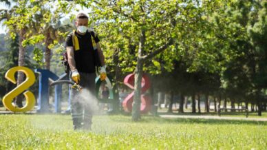 samsunda kenelere karsi ilaclama seferberligi NtFIw8Tc