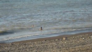 sel sulari ile kirlenen denizde yuzmek enfeksiyon riskini artiriyor 1Ip7jLdk