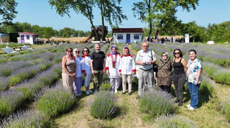 sinopta lavanta kokulu gastronomi bulusmasi yoresel lezzetlere mor dokunus uiycj9e8