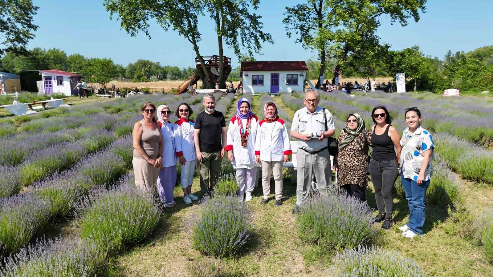 sinopta lavanta kokulu gastronomi bulusmasi yoresel lezzetlere mor dokunus uiycj9e8
