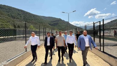 sokak hayvanlari icin yapilan modern yasam merkezi devreye alindi UMXWExNP