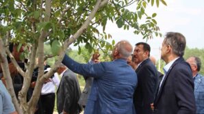 tbmm zirai don arastirma komisyonu boluda inceleme yapti VHCcUF4a